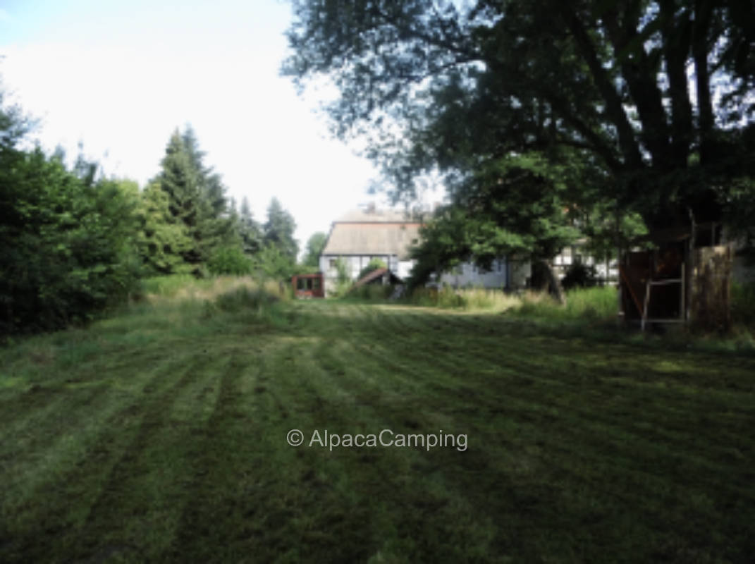 Tent site to RV site in the fall fruit meadow # 2