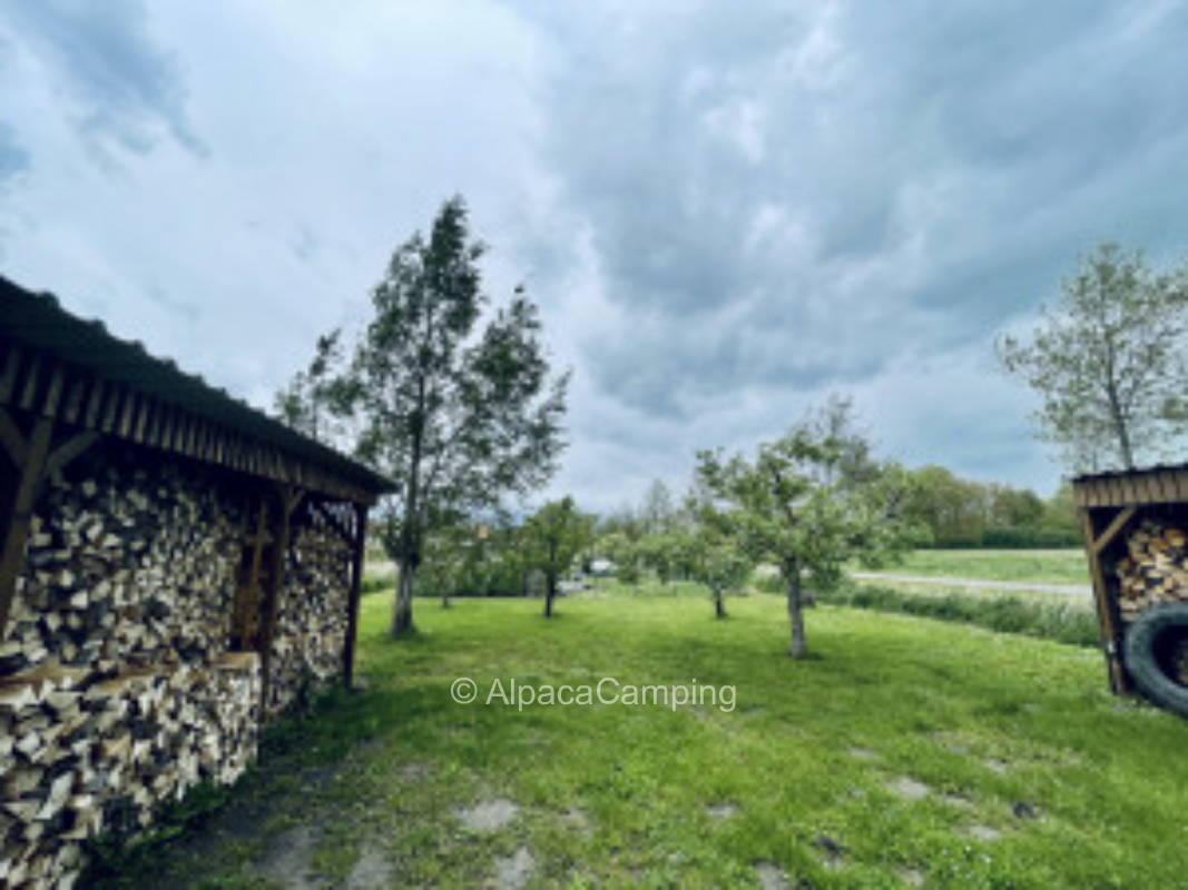 Zelten mit Steigerwaldblick in Herlheim #2