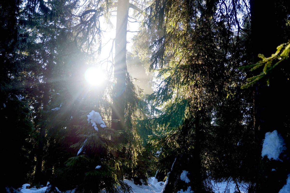 Das Fichtelgebirge - Ein möglicher Stellplatz?