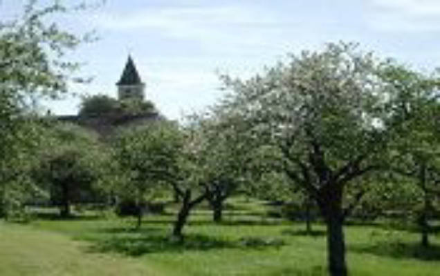 Campinggarden-Leibertingen