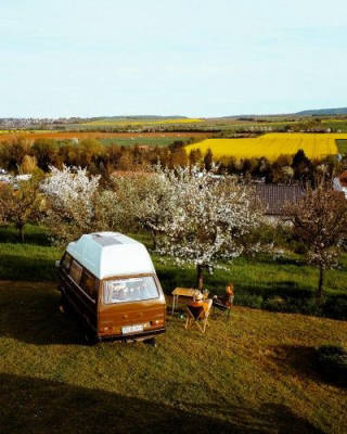 Camping auf der Obstwiese
