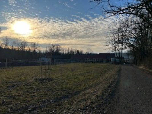 Wilde Weiden - Stellplatz am Waldrand Thüringen