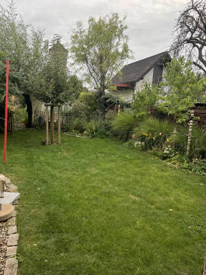 Idyllic garden with space for tents