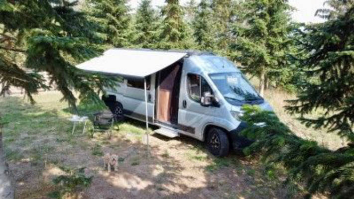 Werderaner Tannenhof | Camping in the pines