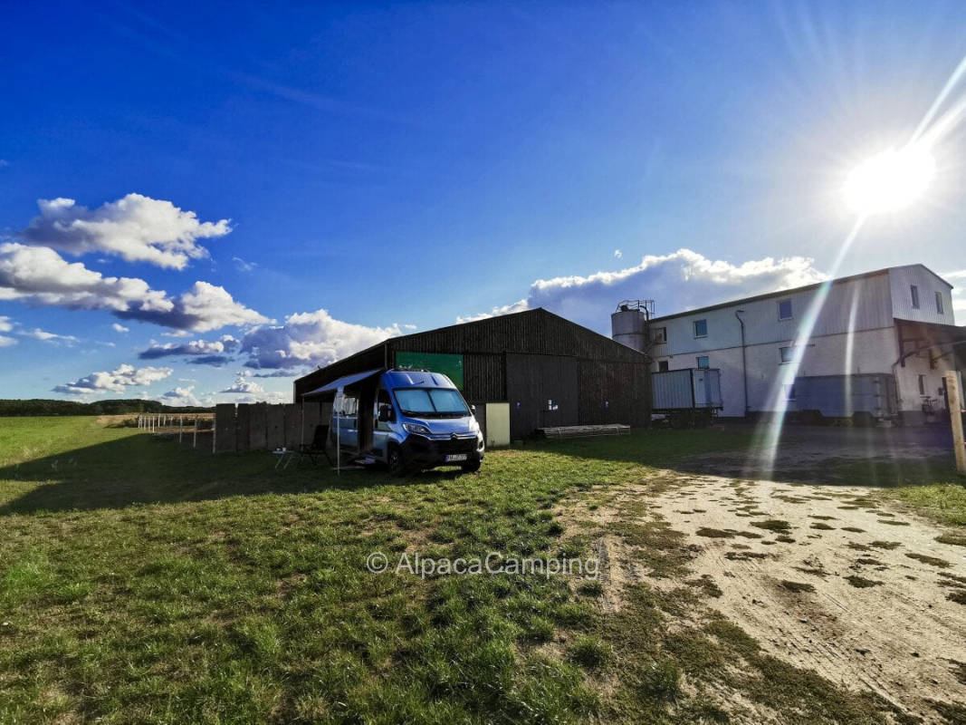 Beautiful pitches on the edge of the Drömling #1