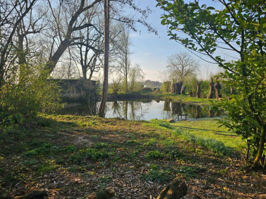 Stellplatz mit Teichzugang (Campspace 30033)
