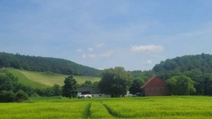 Alleinlage am Nationalpark Kellerwald-Edersee 