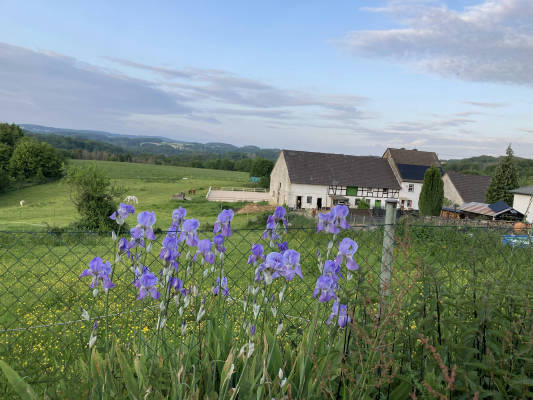 Offenstall schwellenbach
