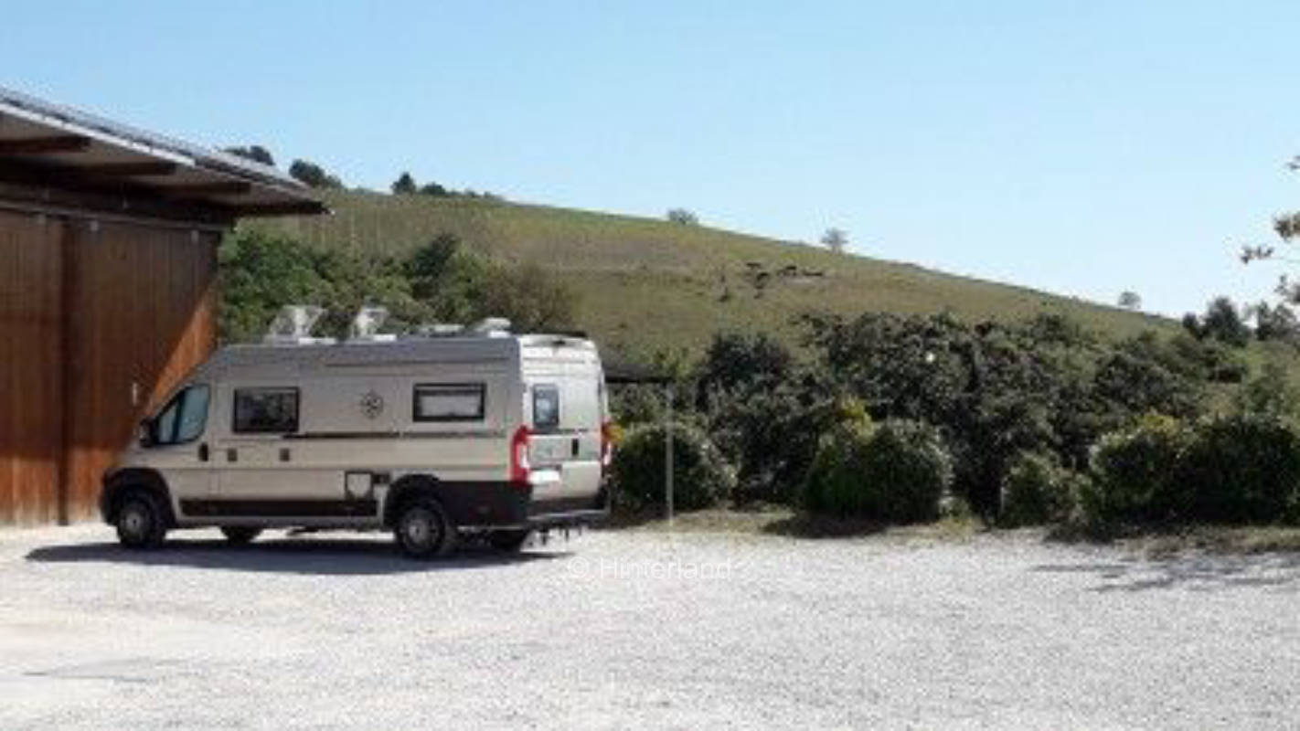 Idyllic pitch at the organic winegrower