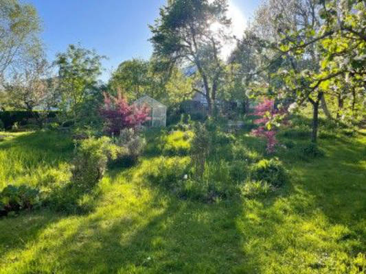 Garden Oasis & Village Idyll on the Way of St. James in the Eifel