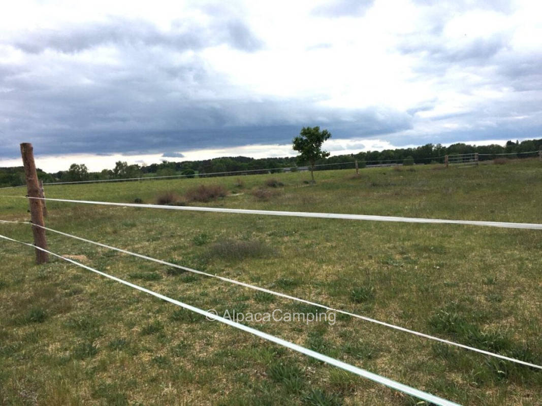 AlpacaCamping 1018, privater Stellplatz