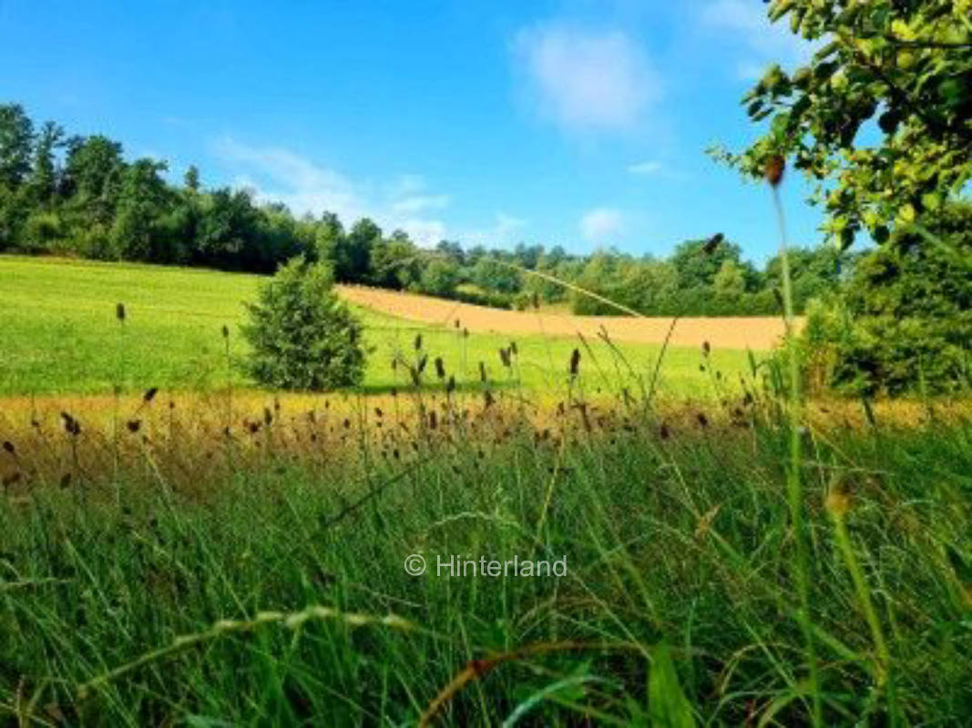 Apple Tree Meadow - Natur & Aussicht