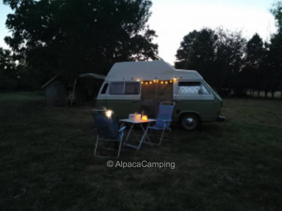 Münsterländer Parklandschaft