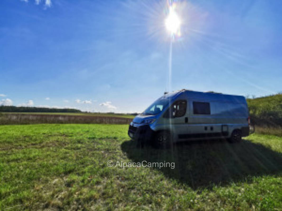 Wiese mit Weitblick #1