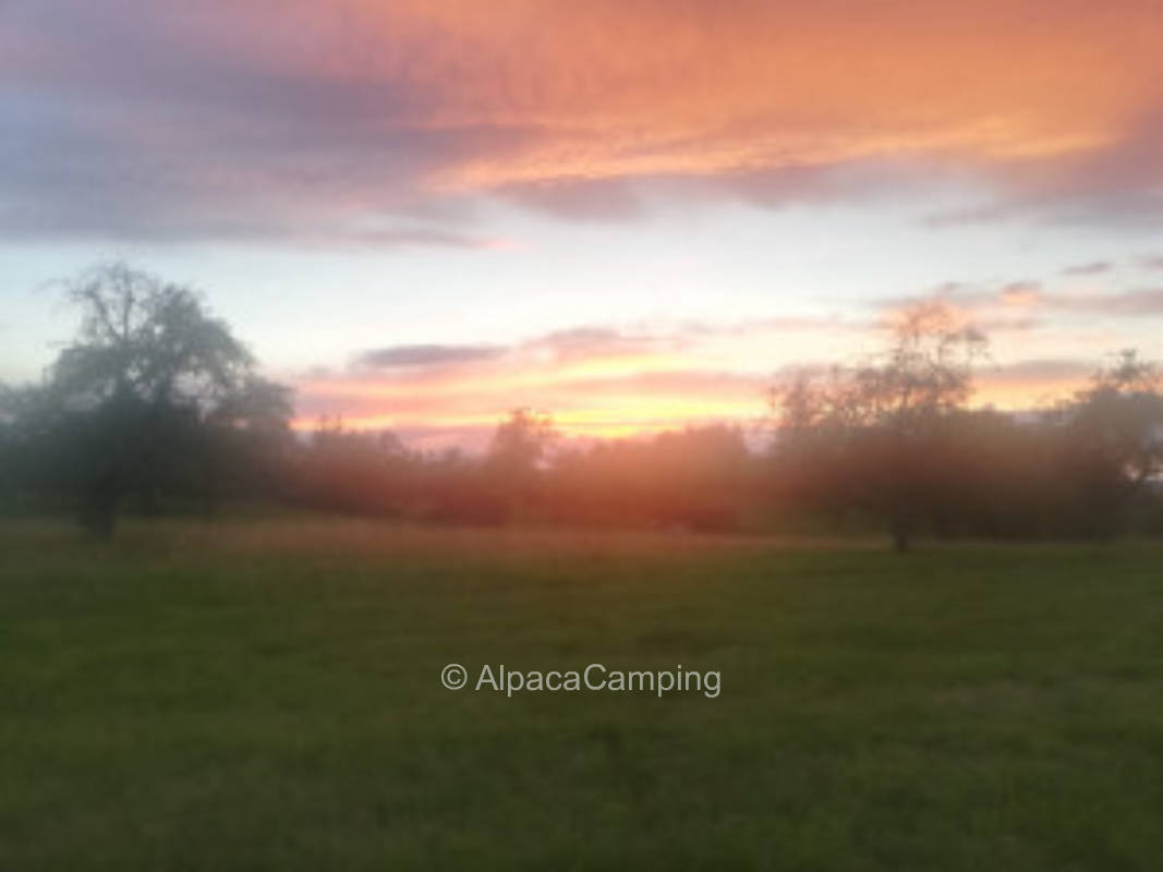 in heavenly peace on private garden plot