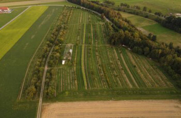 In the heart of an organic garden nursery, with a lake nearby