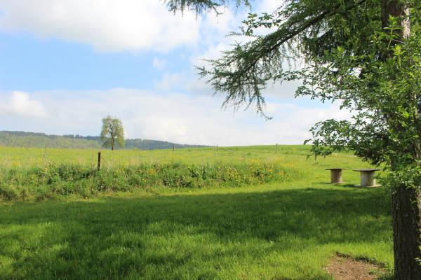 Hochrhein camping