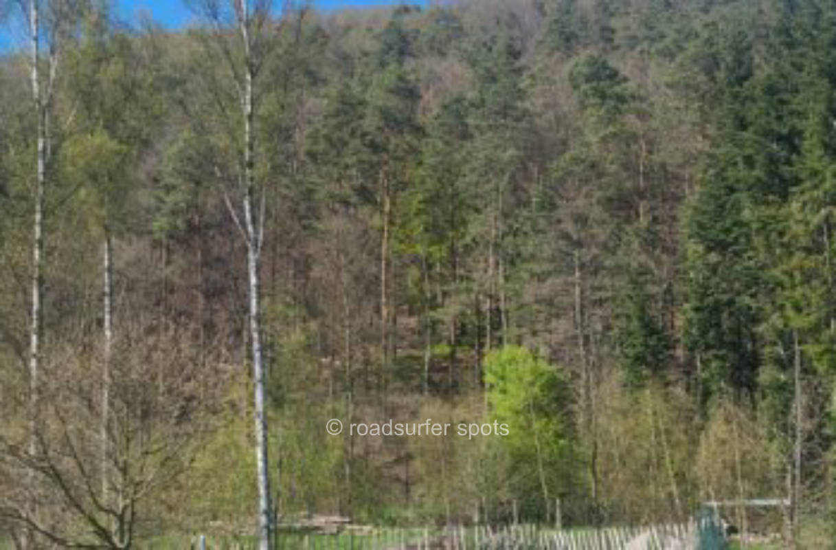 Hof mit Wiese, Wald und Bach. Siegsteig