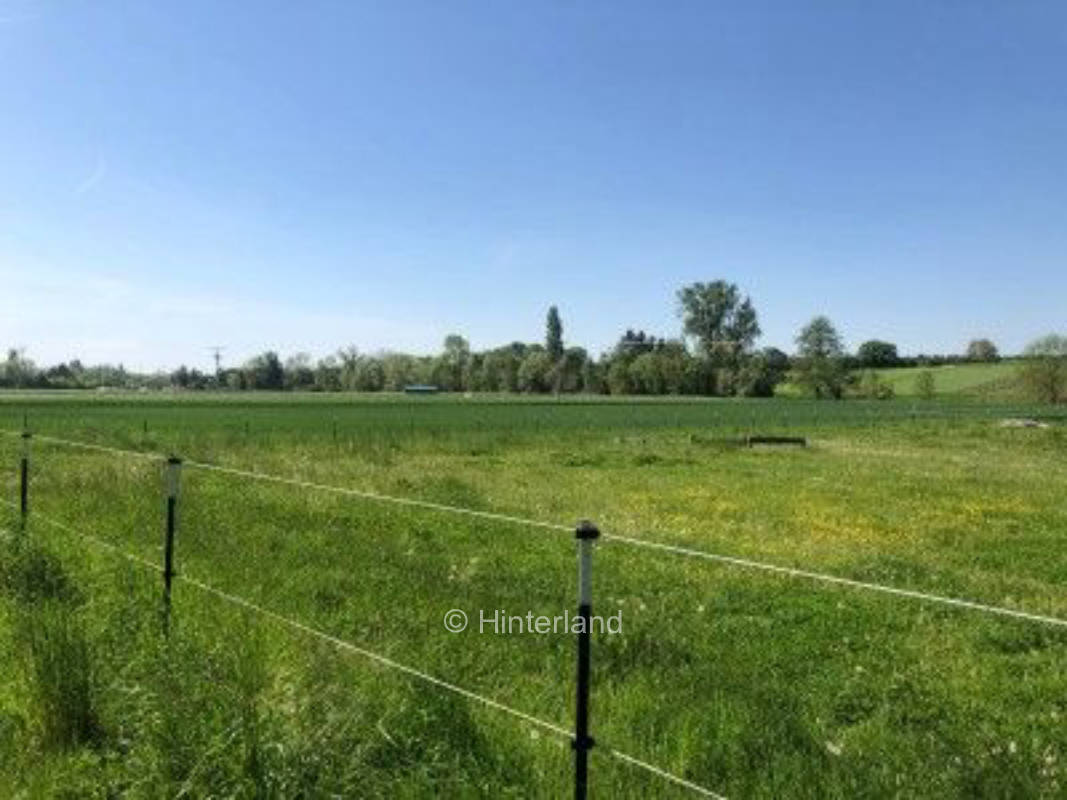 Ferien an der Pferdekoppel