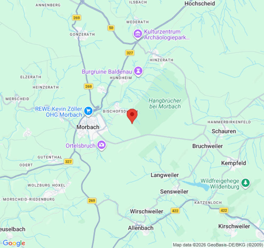 ☼ Wildcampen im mystischen Idarwald mit Blick auf den Sonnenuntergang ☼ (Campspace 8217)