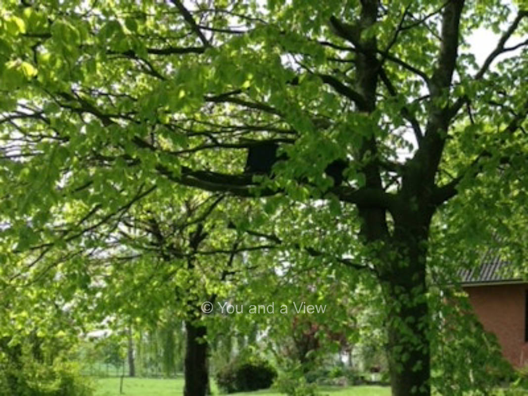 Kleinmoorhaus an der Eider