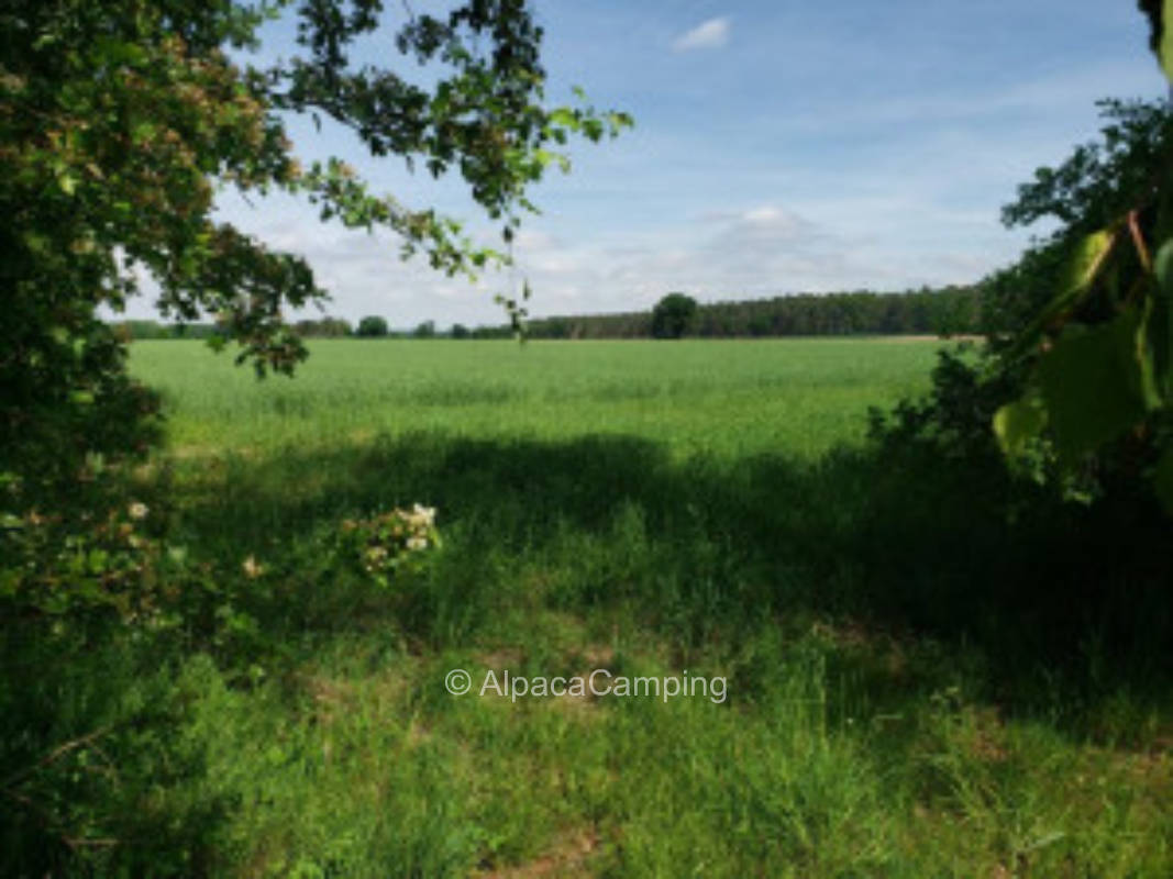 Einzelstellplatz in Waldnähe in der Feldmark