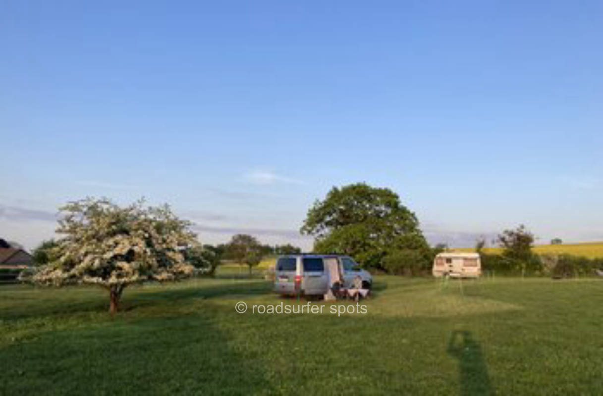 Camping where the Heidschnucken sleep...