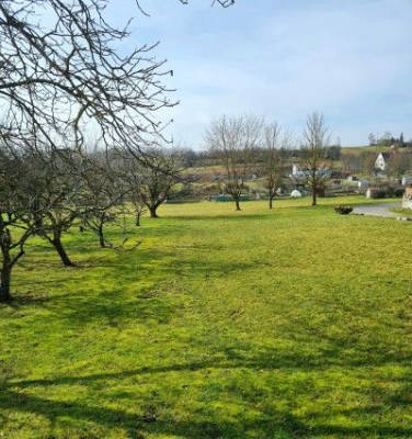Tent site on the fruit tree meadow in Franconia