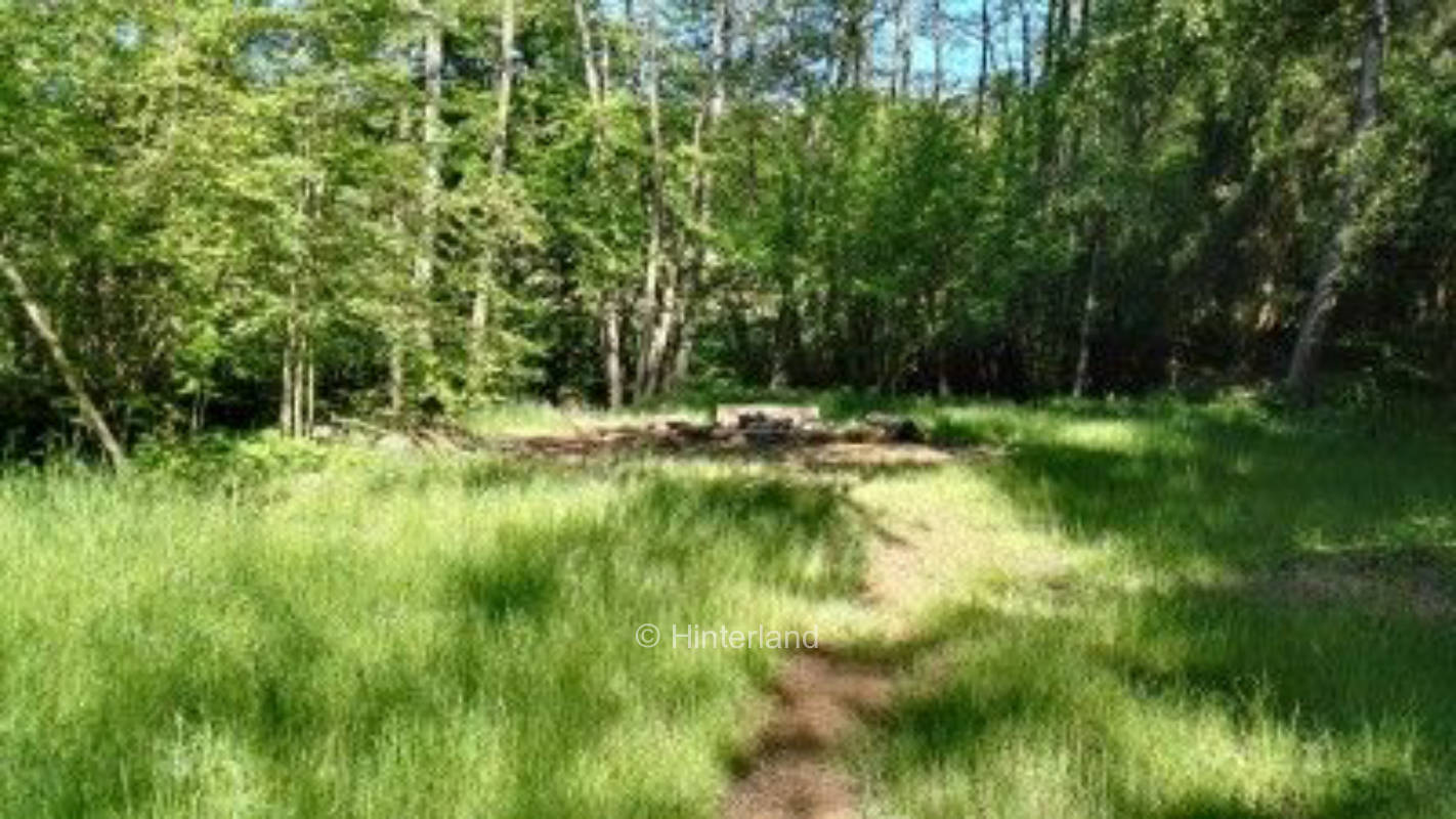 Urgemütliches Waldgrundstück mit Bachlauf, privater Stellplatz