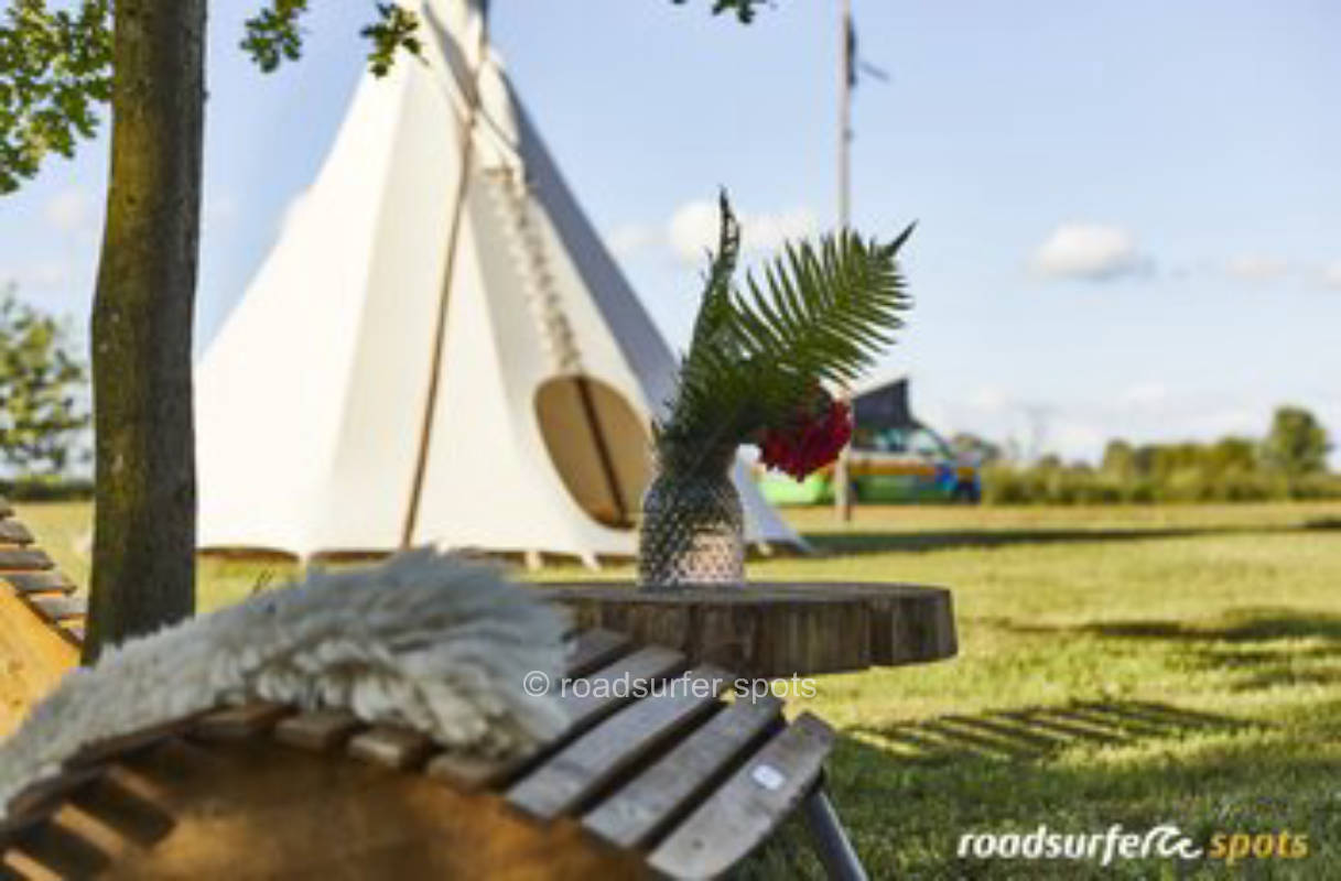 Spacious meadow with fireplace & large teepee