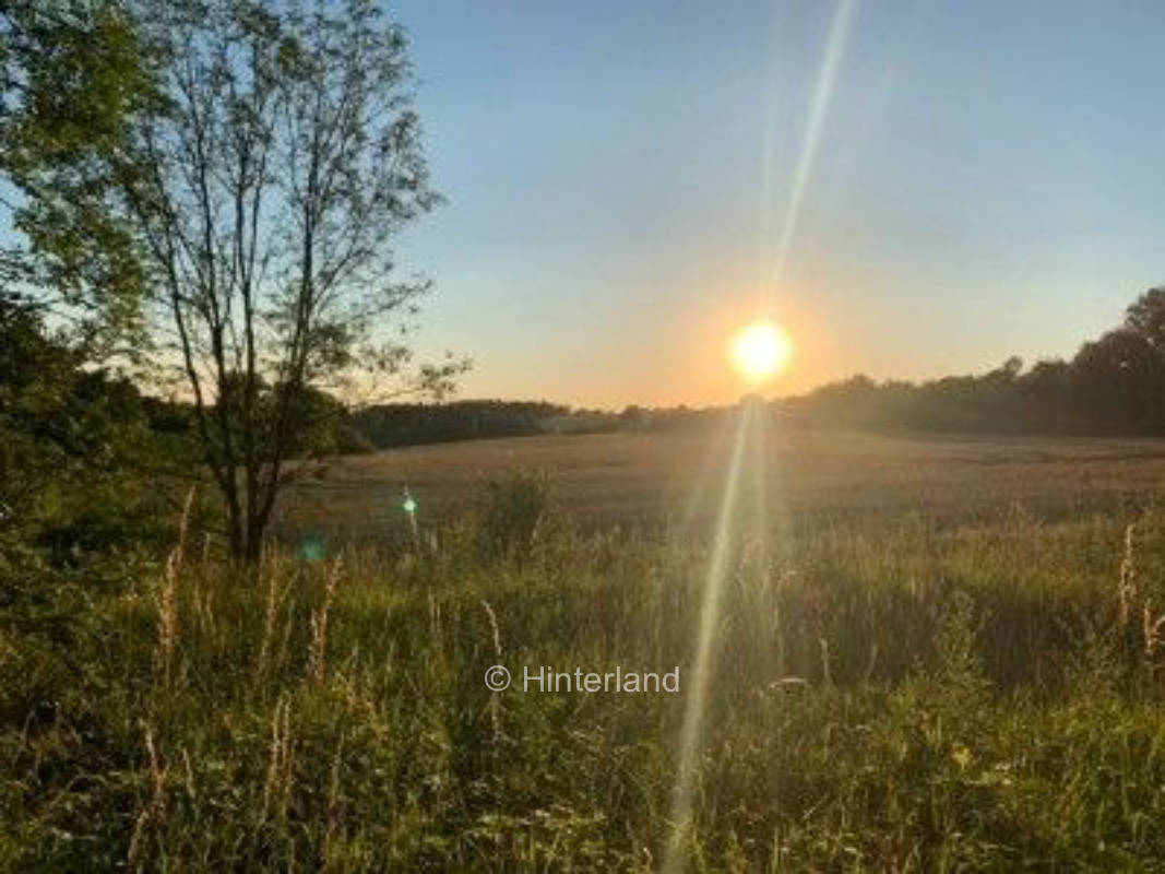 Am Rande des Südharz - Stellplatz im Grünen