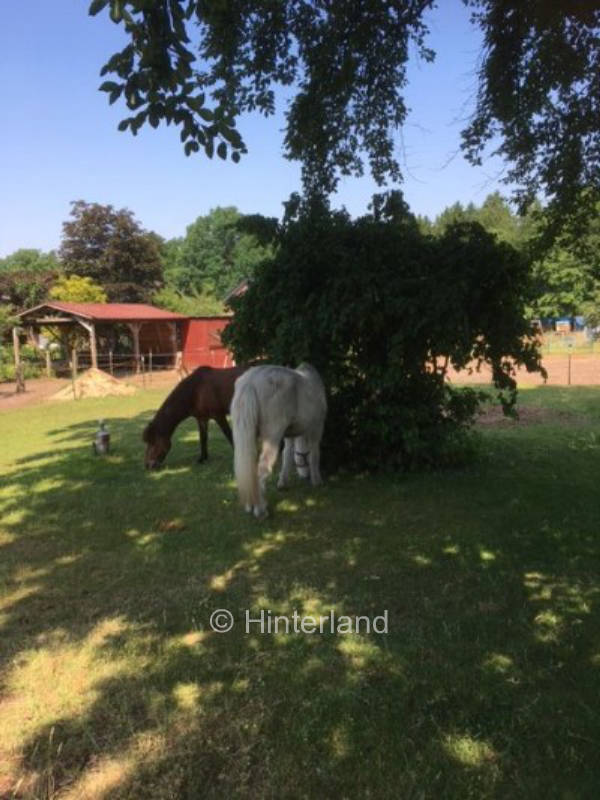 Family Pippi Longstocking Camping