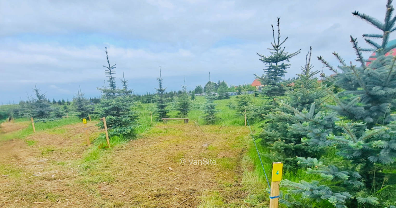 Thüringer Tannenhof Umpferstedt | Camping in den Tannen
