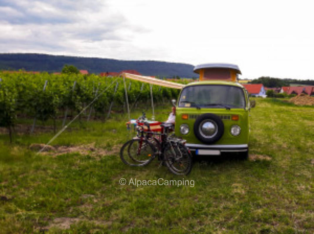 Naturidylle direkt am Weinberg #3