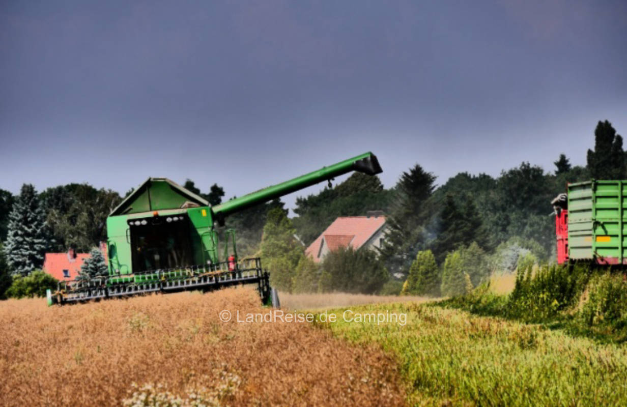 Flexible choice of pitch on Gottschalk farm
