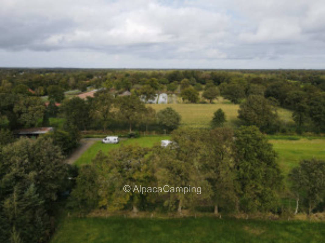 Hermann's pitch at the horse meadow #2