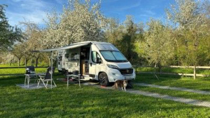Sunny meadow in solitary location only 20 min. to Lake Constance