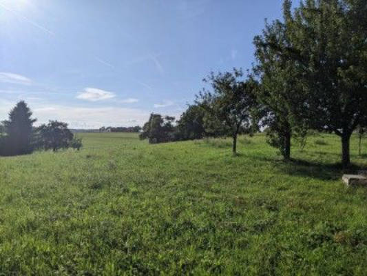 Schwäbische Alb: Feld, Wald und Wiese