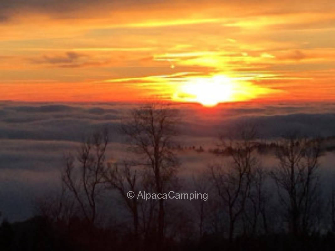 Time out at deer enclosure #1