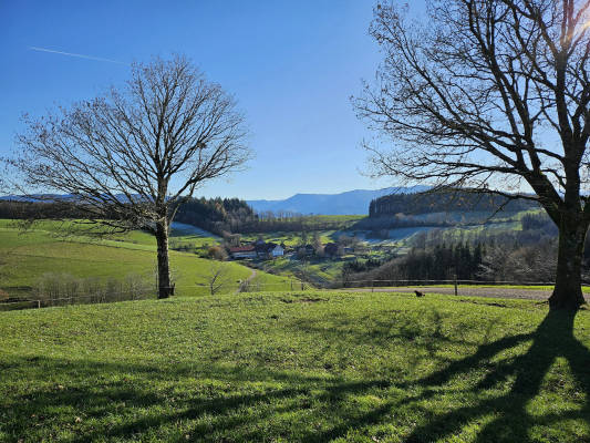 Pure nature at Kolble Hof Eiche