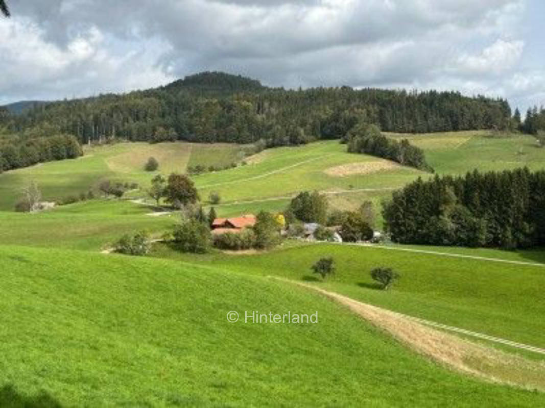 Ruhiger Übernachtungsplatz im Kleinen Wiesental