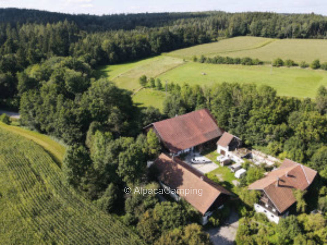 Camper auf der Wiese am Biohof #6
