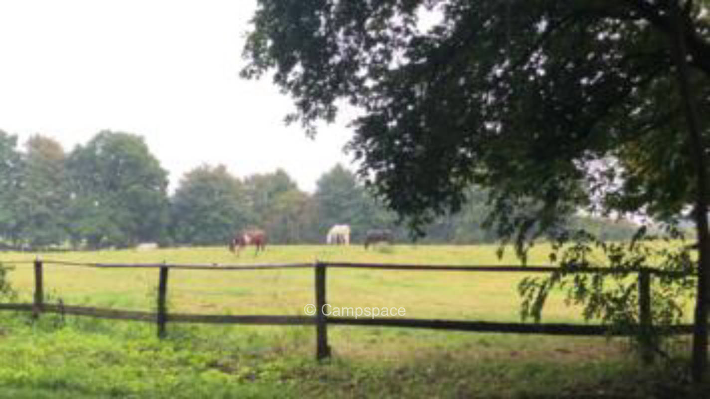 Bauernhofcamping an der Ostsee