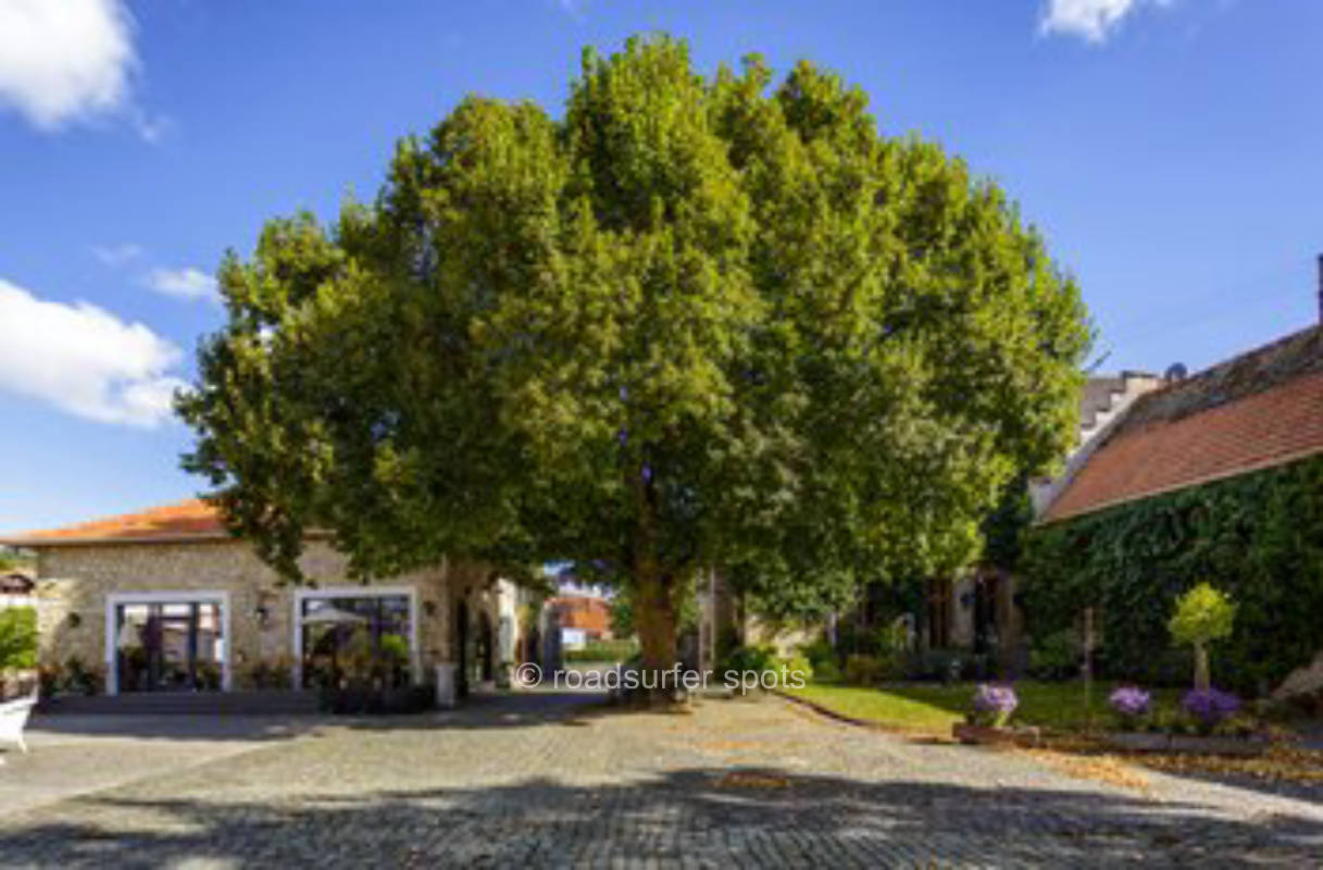 Klostergarten