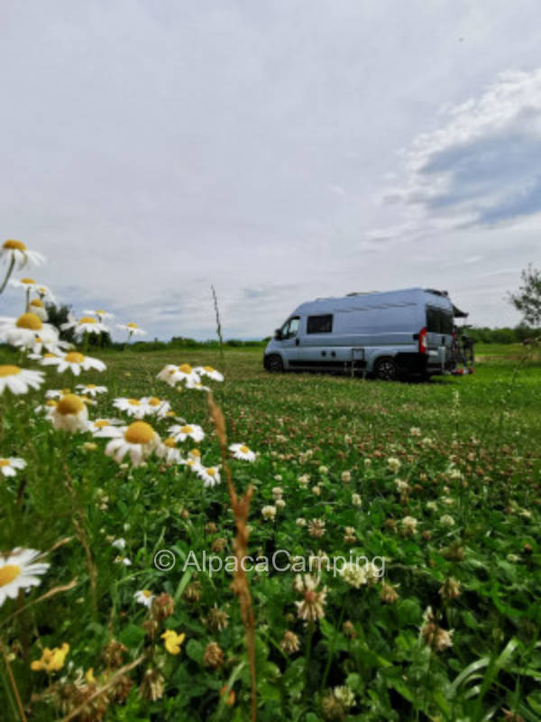Aussicht zur Straubinger Skyline  bis zum Bogenberg #2