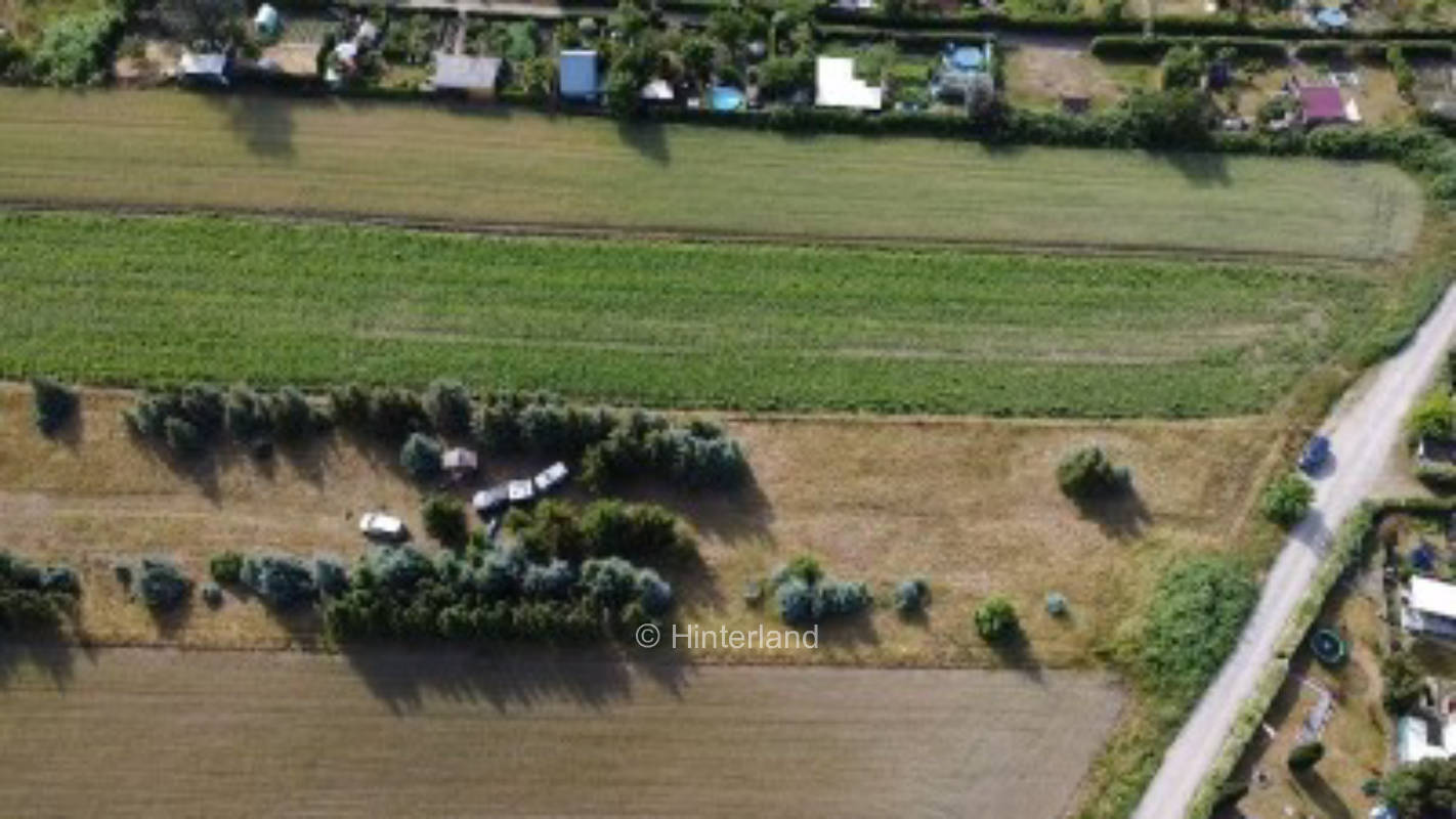 Zwischen Tannen und der Walnuss