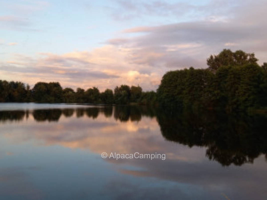Zwischen Pferdewiese und Feld