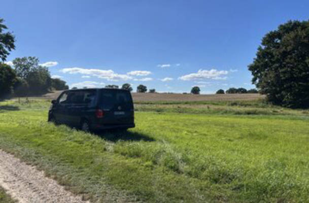 Camping with paddock views