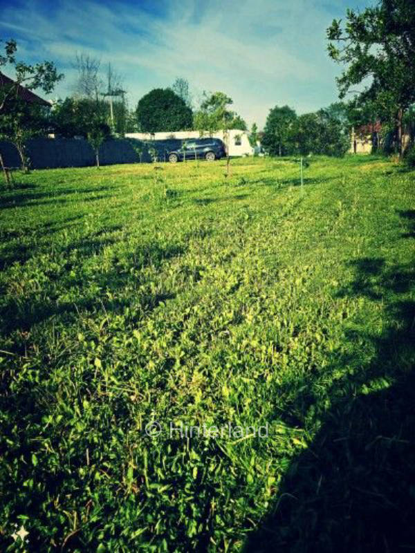 enjoying Romania on a small campsite in Busiasch, privater Stellplatz