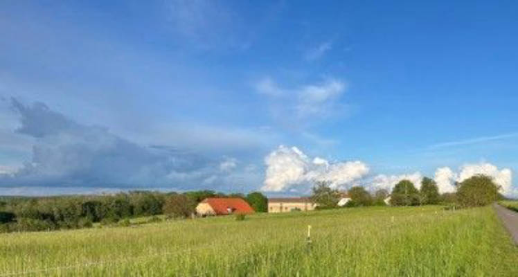 Peace in the Bliesgau Biosphere Reserve